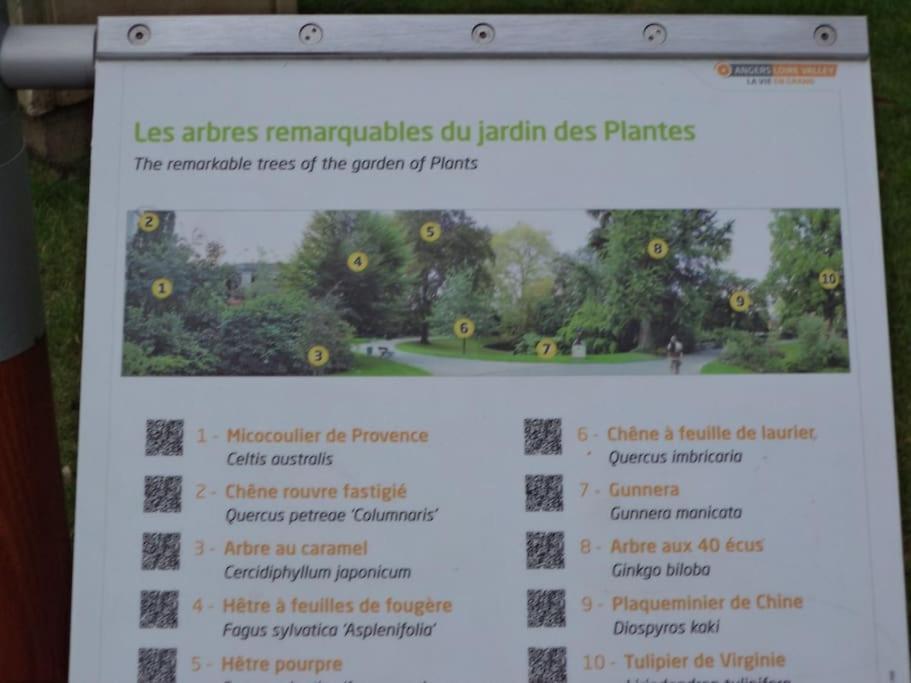 La Bergerie Angers Centre Ville 外观 照片